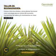 Taller de Biongeniería