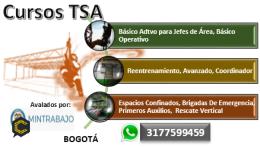CURSOS TSA