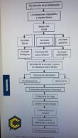 PATOLOGIA ESTRUCTURAL.