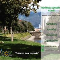 Consultoria