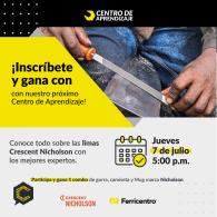 Centro de Aprendizaje: Limas para Motosierra Nicholson