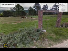SE VENDEN LOTES EN VEREDA