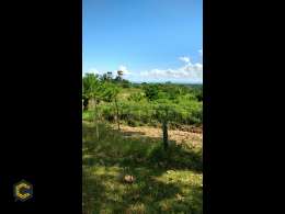 *oportunidad de inversión! se vende finca en Coveñas - Sucre