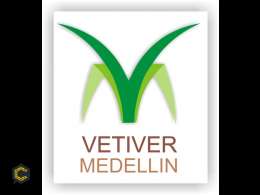 PASTO VETIVER, PARA CONTROL DE EROSIÓN.
