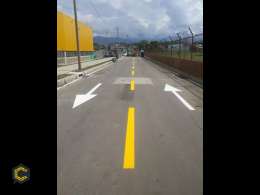 Profesionales en pintura