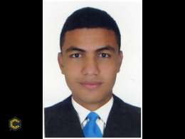 Estudiante de último semestre de Ingeniería Civil