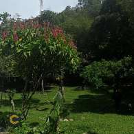 Se vende Lote en La Vega