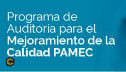 ASESORIA, ELABORACION PAMEC