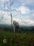 Topografo profesional