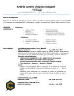 INGENIERO CIVIL - DISEÑADOR ESTRUCTURAL