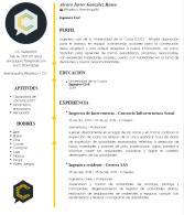 Ingeniero civil.