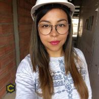 Tecnologa en construcciones civiles