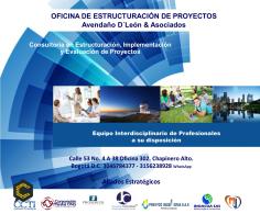 CONSULTORIA EN ESTRUCTURACÓN, IMPLEMENTACIÓN Y EVALUACIÓN DE PROYECTOS
