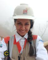 Ingeniería Ambiental