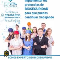 EJEVITAL  Contactanos  Jaime Navia *****-*****