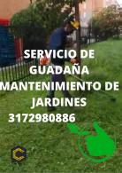 SERVICIO DE GUADAÑA MANTENIMIENTO DE JARDINES ZONAS VERDES