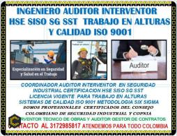 CONSULTOR ASEGURAMIENTO DE CALIDAD IS***** SECTOR CONSTRUCTORAS E INMOBILIARIAS