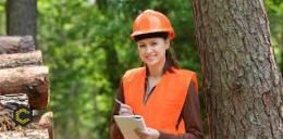 Ofrezco mis servicios profesionales como Ingeniera Forestal