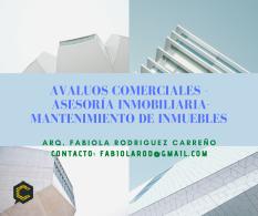 profesionales con experiencia en el mercado inmobiliario,elaboración de avaluos comerciales