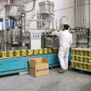 DISTRIBUIDOR DE PINTURAS GOLD