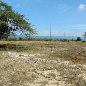   SUBASTA - Lote para vivienda en La Guajira