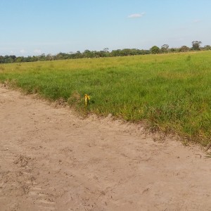 LOTE CAMPESTRE VILLAVICENCIO