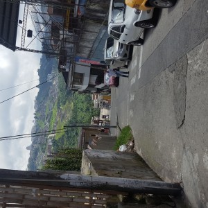 Vendo lote en villamaria - caldas 