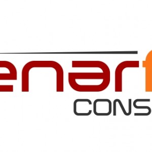 ENARFIRE CONSULTING SAS 