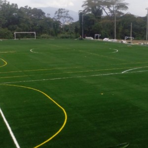 Gramas Sintéticas Futbol y Paisajismo  - Gram