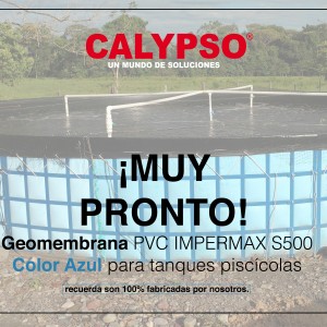 GEOMEMBRANA AZUL 
