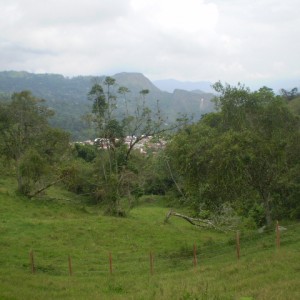 SAN FRANCISCO CUNDINAMARCA
