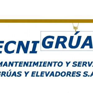 Mantenimiento Grúas y Elevadores de Carga