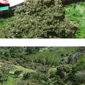 Aerofotografia para seguimiento de proyectos