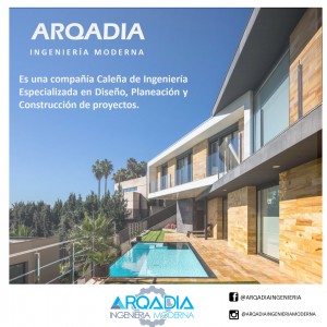 Diseño de Proyectos y Construccion.