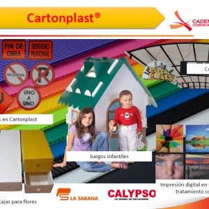 CARTONPLAST