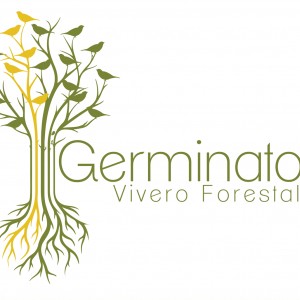 Vendo árboles nativos para proyectos viales