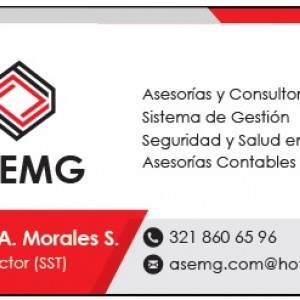 Asesorias empresariales y gestión 