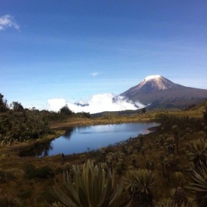 finca agroecoturistica