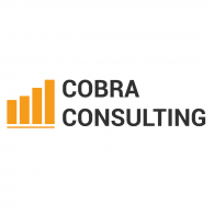 COBRA CONSULTING SAS