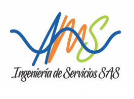 AMS INGENIERIA DE SERVICIOS SAS