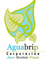 AguaBriP Corp.