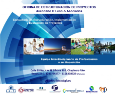 OFICINA DE ESTRUCTURACIÓN DE PROYECTOS