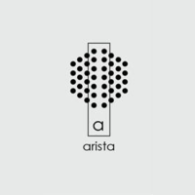 Arista arquitectura Coprorativa
