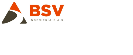 BSV INGENIERIA SAS