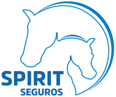 Spirit Seguros