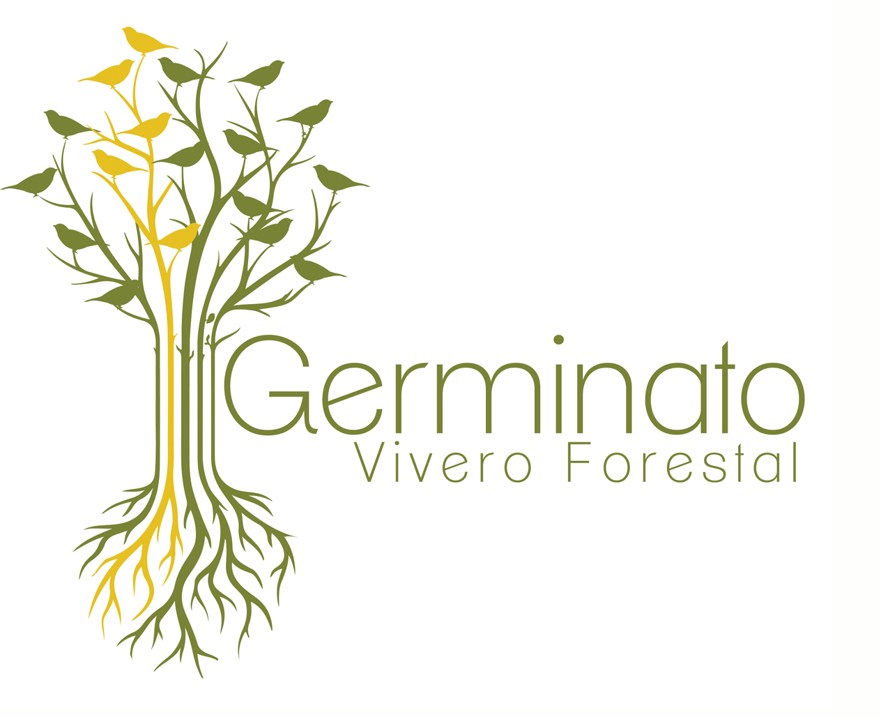 GERMINATO Vivero Forestal