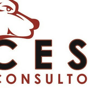 CESS CONSULTORES