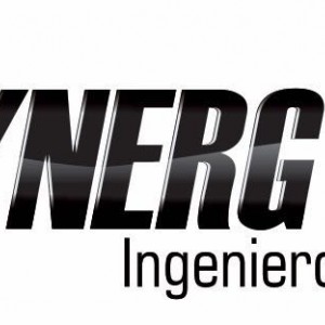 SYNERGY GROUP