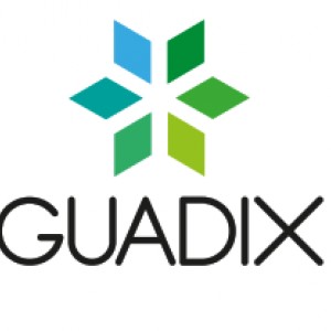 Guadix Inversiones
