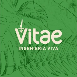 Vitae Ingeniería Viva S.A.S